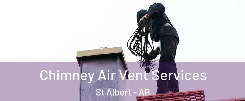  Chimney Air Vent Services St Albert - AB