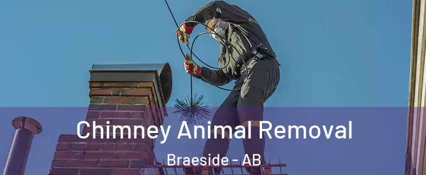  Chimney Animal Removal Braeside - AB