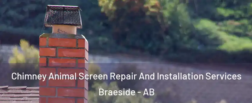  Chimney Animal Screen Repair And Installation Services Braeside - AB