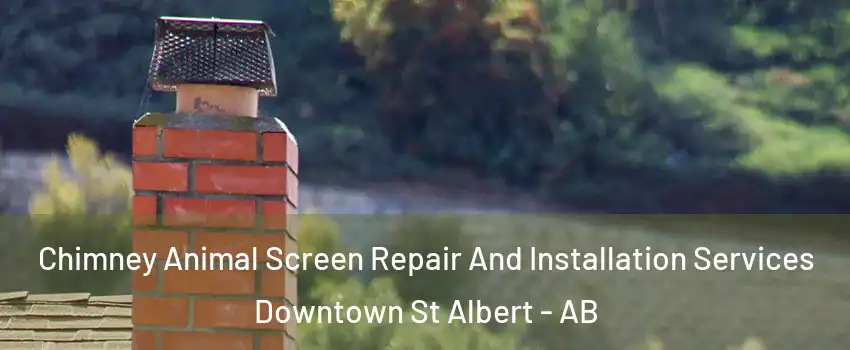  Chimney Animal Screen Repair And Installation Services Downtown St Albert - AB