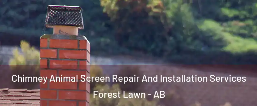  Chimney Animal Screen Repair And Installation Services Forest Lawn - AB