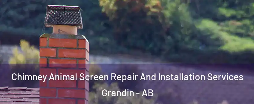  Chimney Animal Screen Repair And Installation Services Grandin - AB