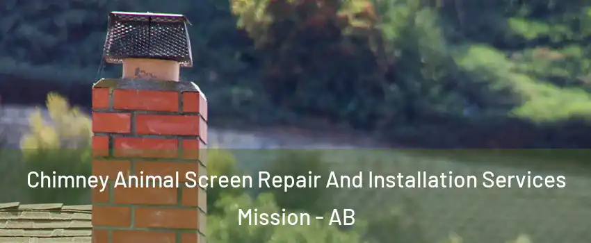  Chimney Animal Screen Repair And Installation Services Mission - AB