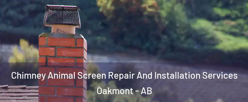  Chimney Animal Screen Repair And Installation Services Oakmont - AB
