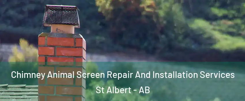  Chimney Animal Screen Repair And Installation Services St Albert - AB