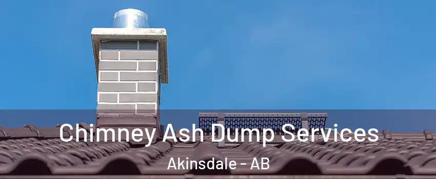  Chimney Ash Dump Services Akinsdale - AB