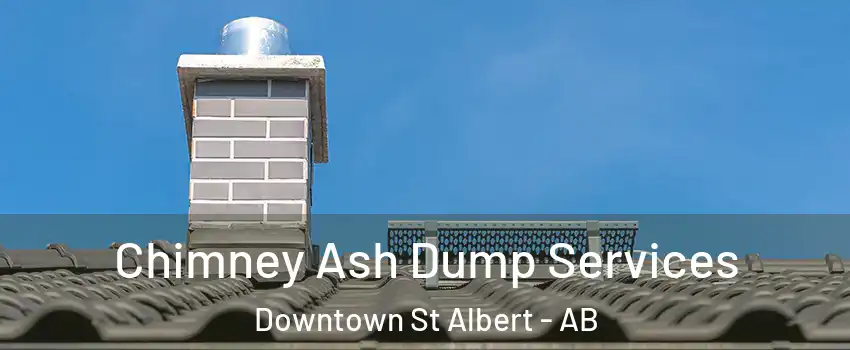  Chimney Ash Dump Services Downtown St Albert - AB