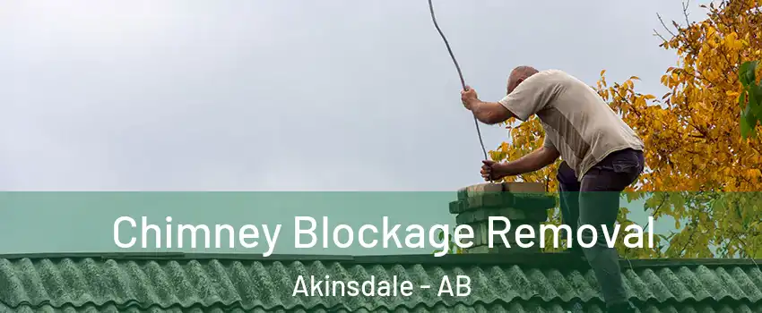 Chimney Blockage Removal Akinsdale - AB