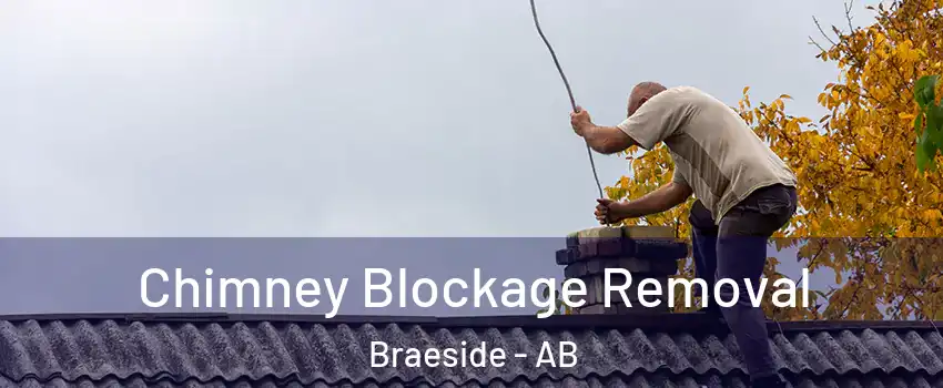  Chimney Blockage Removal Braeside - AB