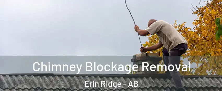  Chimney Blockage Removal Erin Ridge - AB
