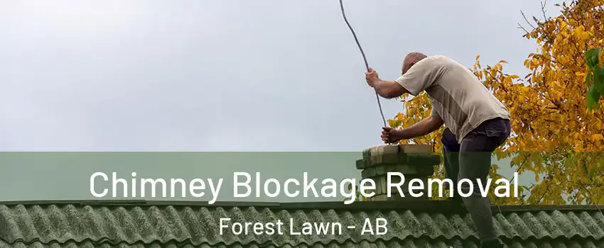  Chimney Blockage Removal Forest Lawn - AB