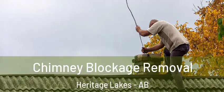  Chimney Blockage Removal Heritage Lakes - AB