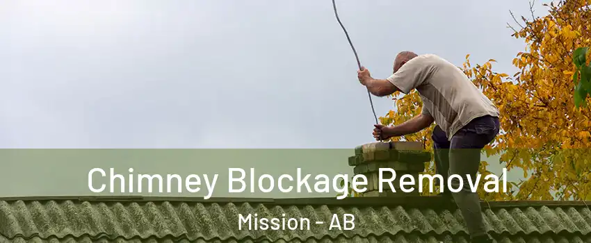  Chimney Blockage Removal Mission - AB