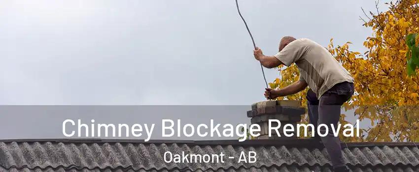  Chimney Blockage Removal Oakmont - AB