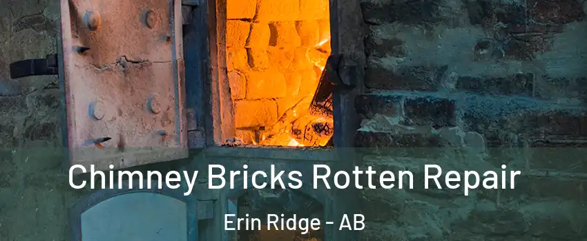  Chimney Bricks Rotten Repair Erin Ridge - AB