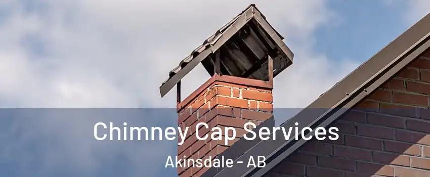  Chimney Cap Services Akinsdale - AB