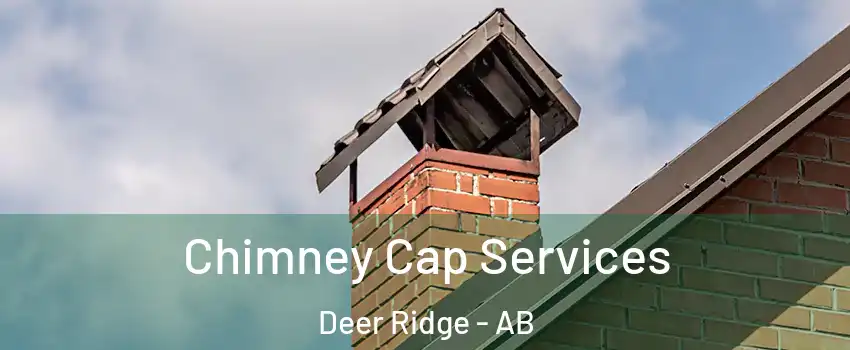  Chimney Cap Services Deer Ridge - AB