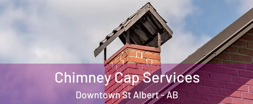  Chimney Cap Services Downtown St Albert - AB