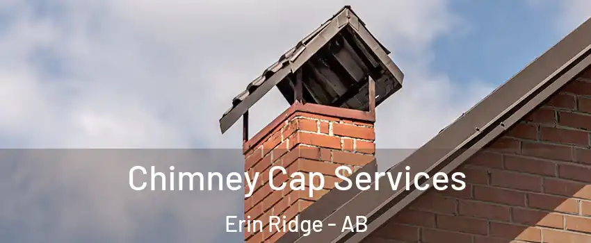  Chimney Cap Services Erin Ridge - AB
