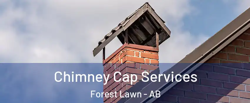  Chimney Cap Services Forest Lawn - AB