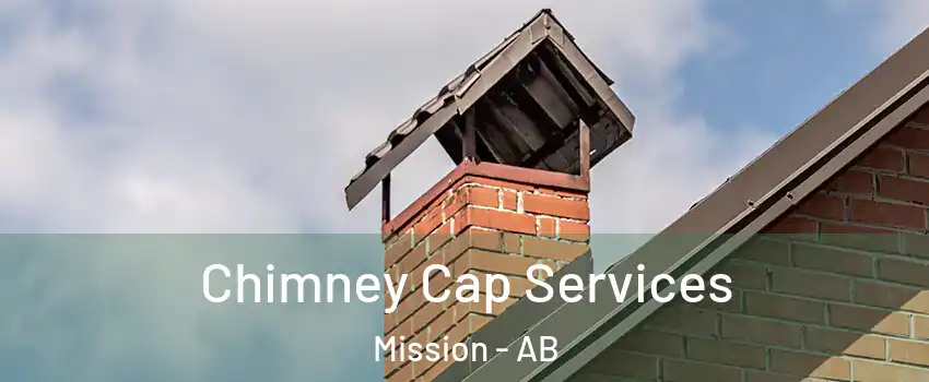  Chimney Cap Services Mission - AB