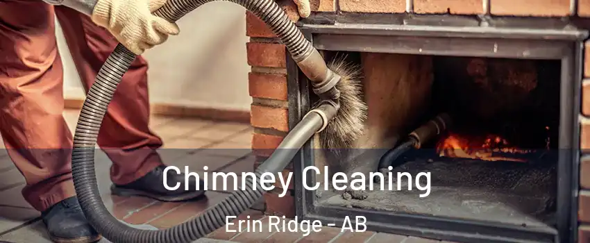  Chimney Cleaning Erin Ridge - AB