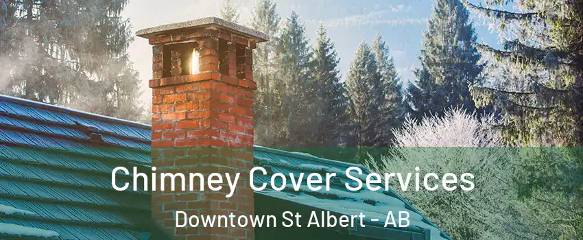  Chimney Cover Services Downtown St Albert - AB