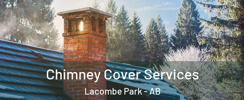  Chimney Cover Services Lacombe Park - AB
