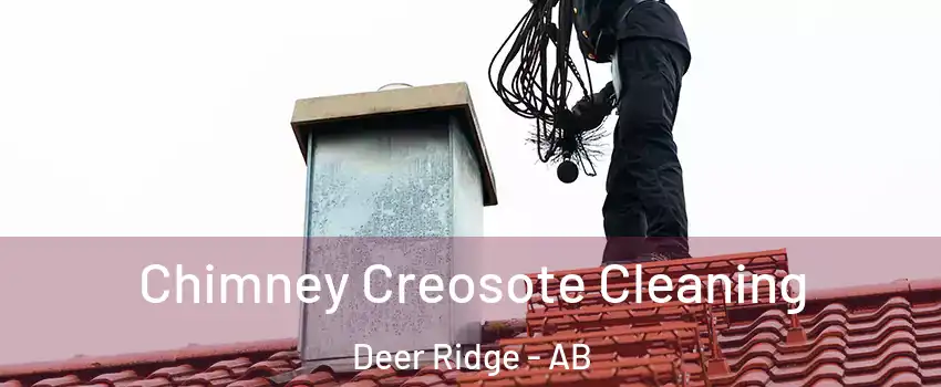  Chimney Creosote Cleaning Deer Ridge - AB