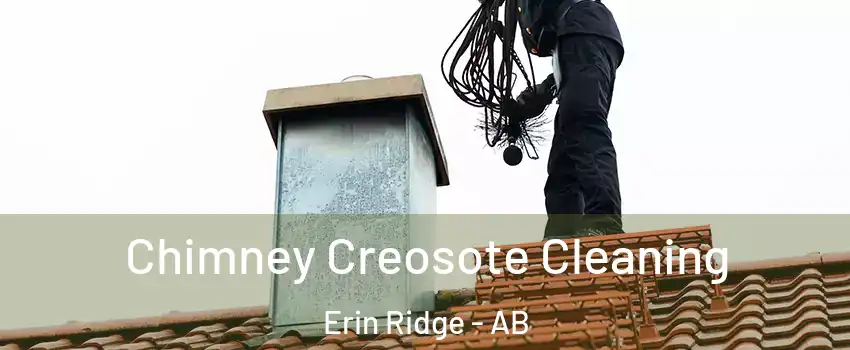  Chimney Creosote Cleaning Erin Ridge - AB
