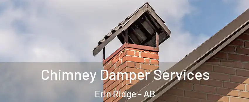 Chimney Damper Services Erin Ridge - AB