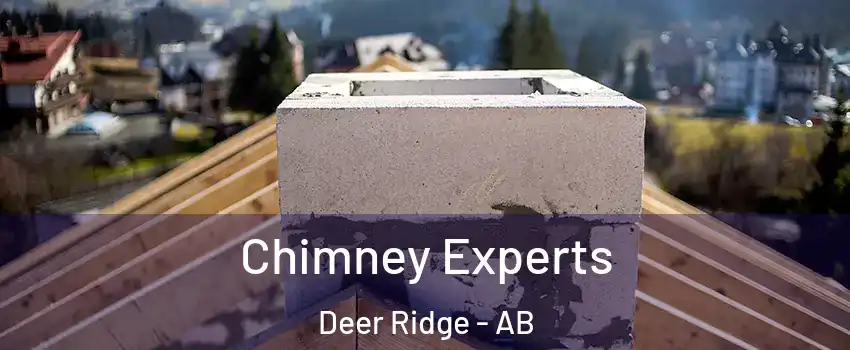  Chimney Experts Deer Ridge - AB