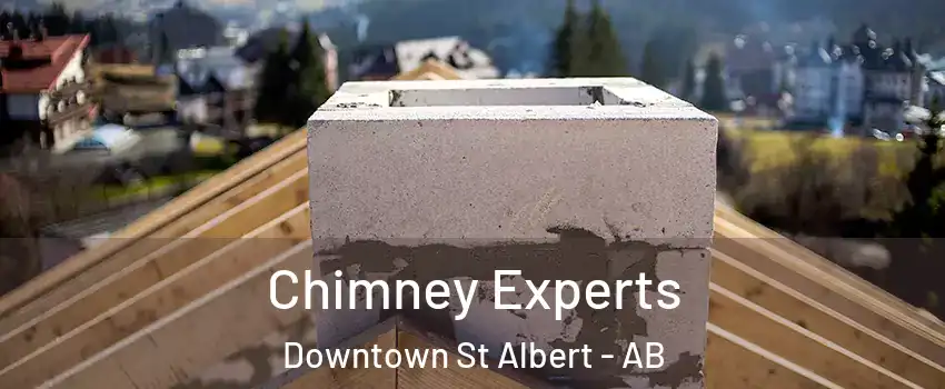  Chimney Experts Downtown St Albert - AB