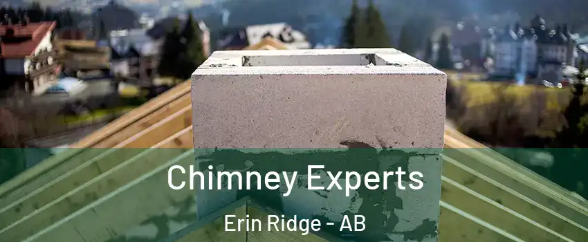  Chimney Experts Erin Ridge - AB