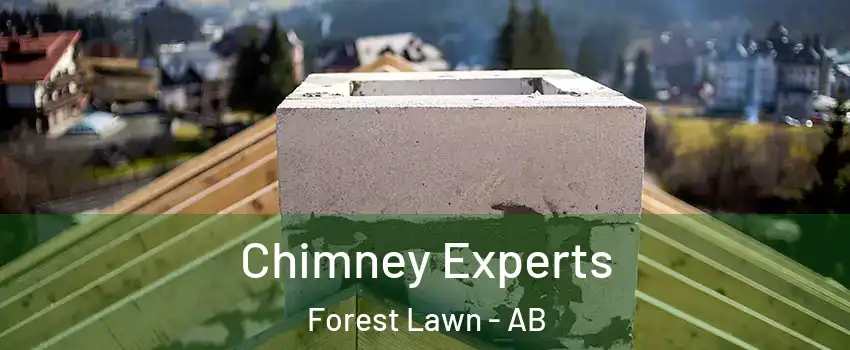  Chimney Experts Forest Lawn - AB