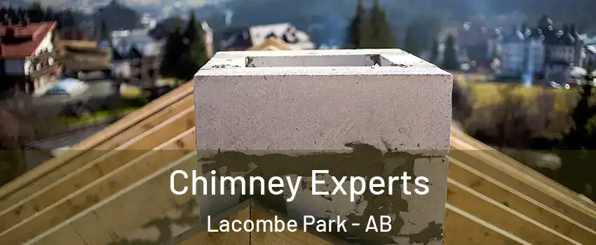  Chimney Experts Lacombe Park - AB