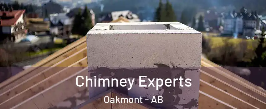  Chimney Experts Oakmont - AB