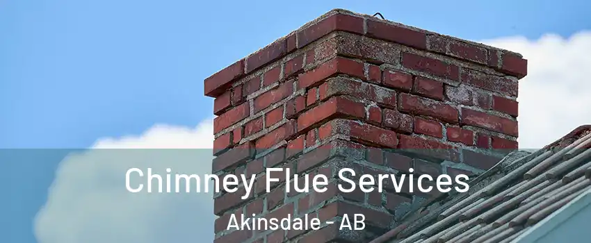  Chimney Flue Services Akinsdale - AB