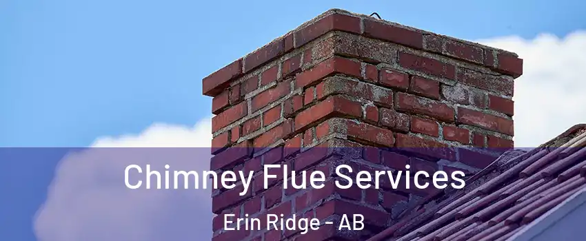  Chimney Flue Services Erin Ridge - AB