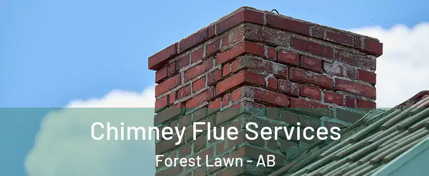  Chimney Flue Services Forest Lawn - AB
