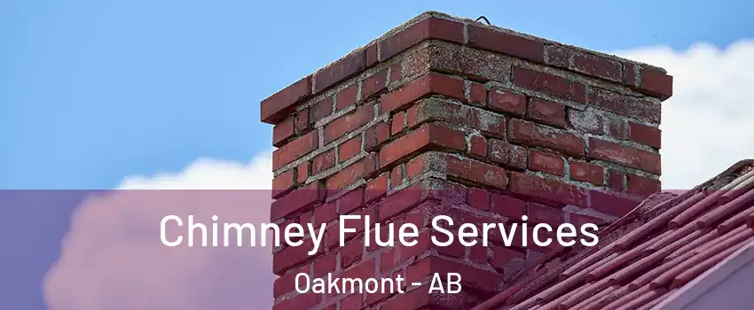  Chimney Flue Services Oakmont - AB