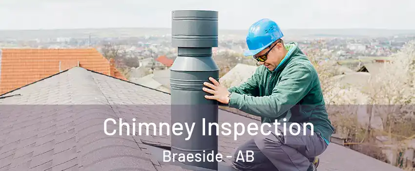  Chimney Inspection Braeside - AB