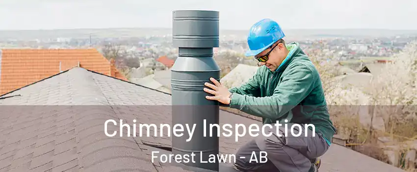  Chimney Inspection Forest Lawn - AB