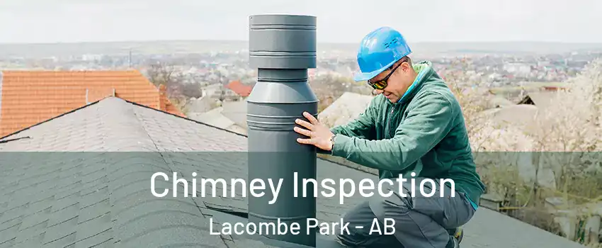  Chimney Inspection Lacombe Park - AB