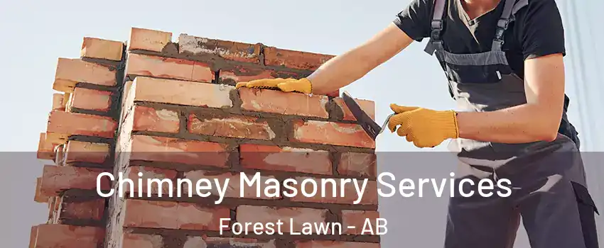  Chimney Masonry Services Forest Lawn - AB