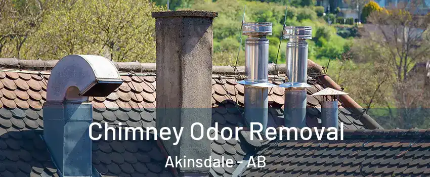  Chimney Odor Removal Akinsdale - AB