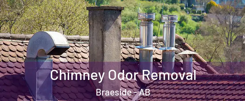  Chimney Odor Removal Braeside - AB