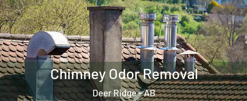  Chimney Odor Removal Deer Ridge - AB