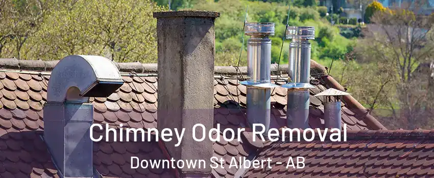  Chimney Odor Removal Downtown St Albert - AB