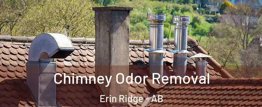  Chimney Odor Removal Erin Ridge - AB